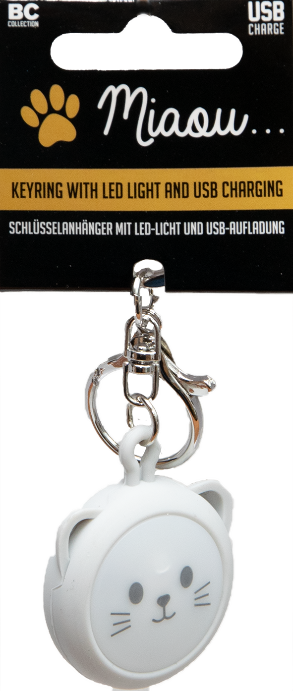 Schlüsselanhänger My Best Friend, Farbe Silber